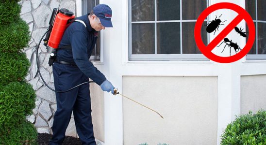 Akyazı Böcek ve Haşere İlaçlama böcek ilaçlama ve haşere kontrolü — ilaclama-tr.com